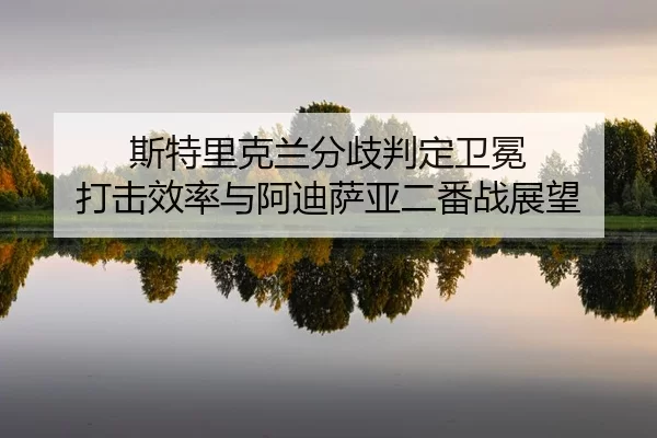 si-te-li-ke-lan-fen-qi-pan-ding-wei-mian-da-ji-xiao-lv-yu-a-di-sa-ya-er-fan-zhan-zhan-wang-2-115.jpg