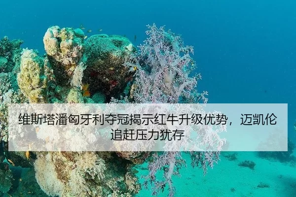 维斯塔潘匈牙利夺冠揭示红牛升级优势，迈凯伦追赶压力犹存